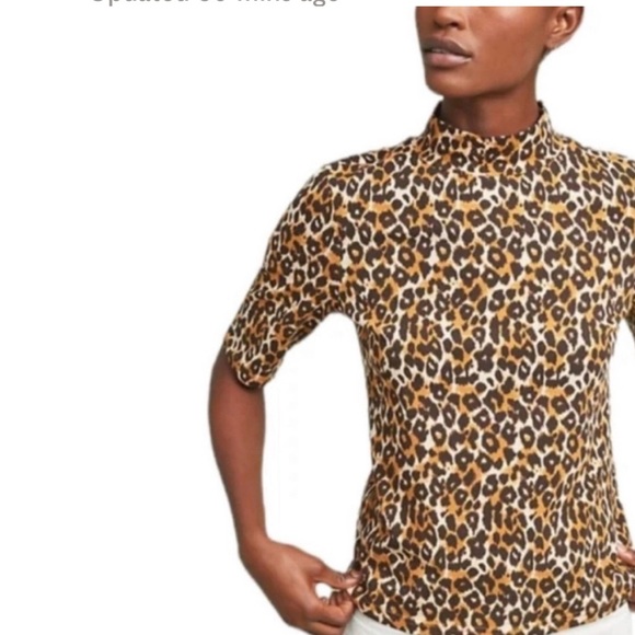 Anthropologie Leopard Print Short Sleeve Mock Turtleneck Top - Small EUC - Picture 2 of 8